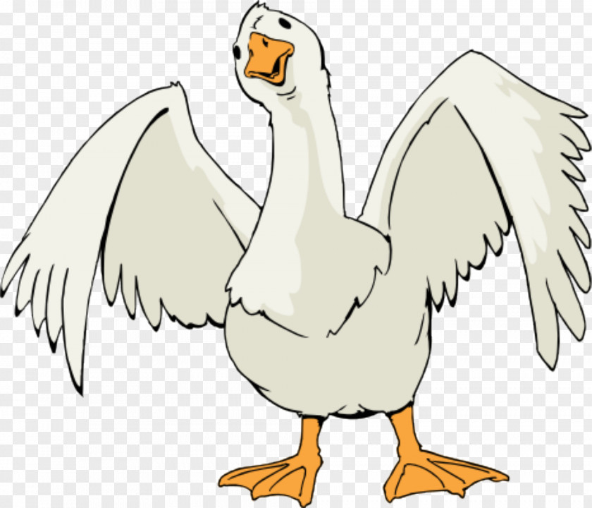 Goose Canada Clip Art PNG