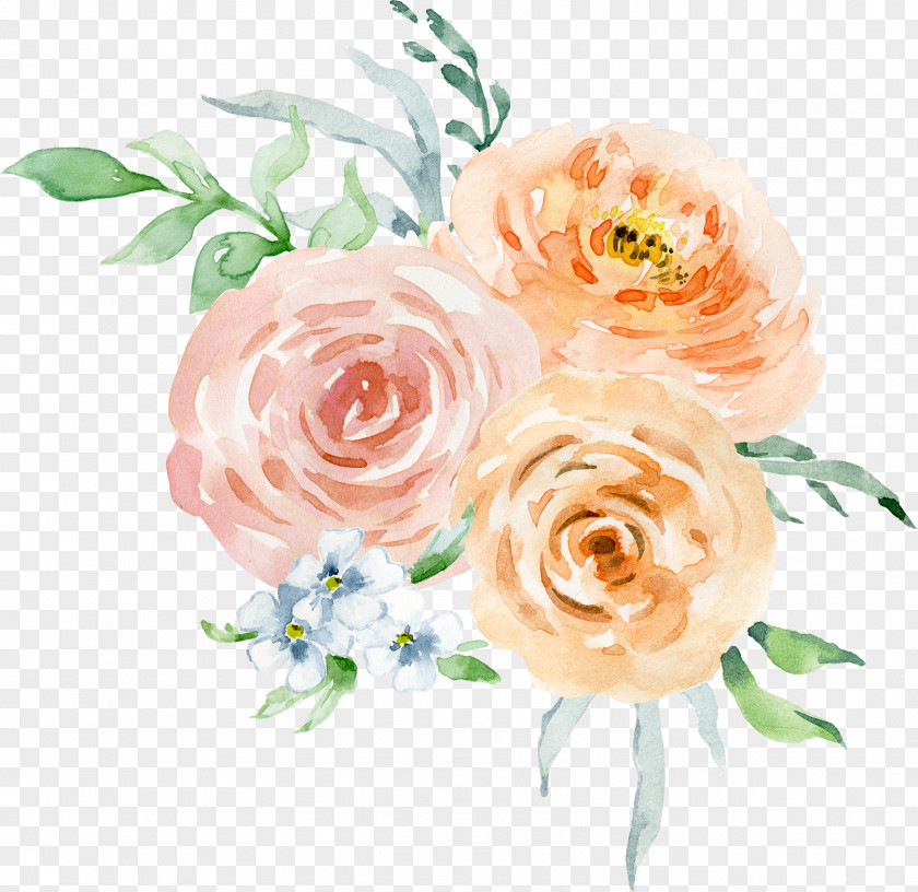 Painting Garden Roses Floral Design Watercolour Flowers Watercolor: Watercolor PNG
