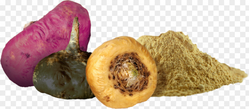 Peruvian Maca Dietary Supplement Juice Vegetable Food PNG