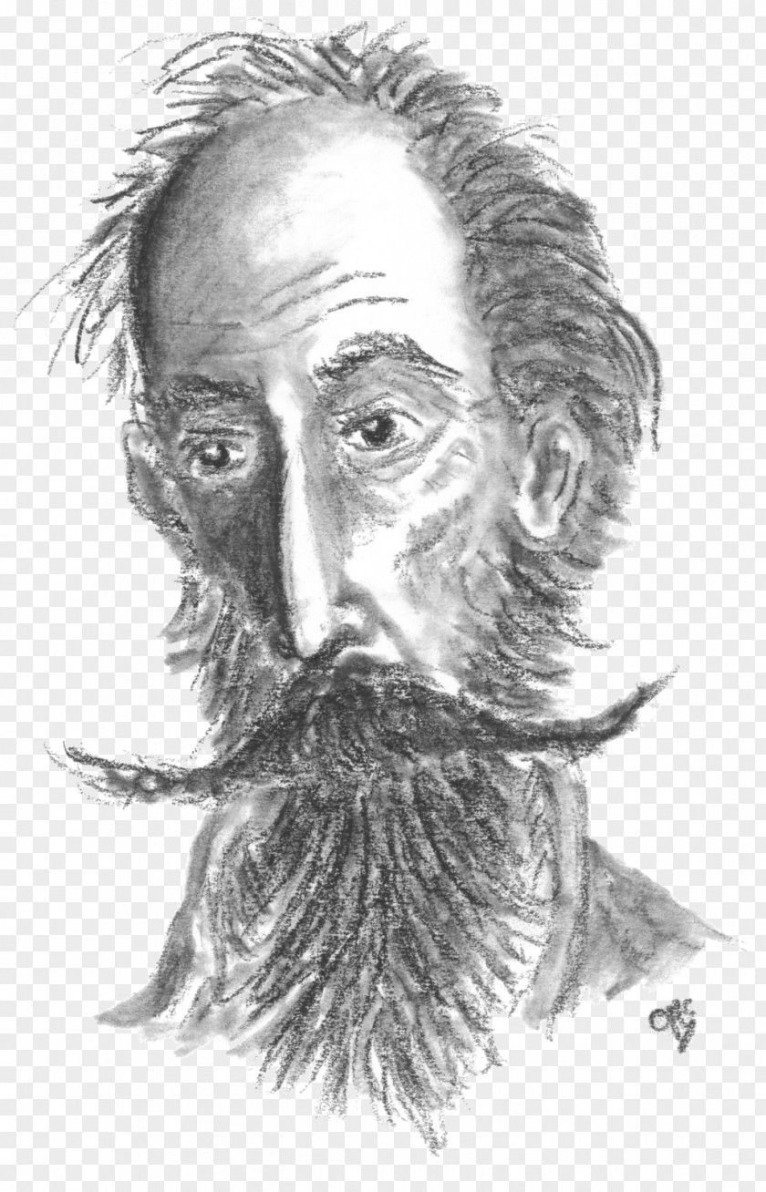 QUIJOTE Nose Visual Arts Drawing Chin PNG