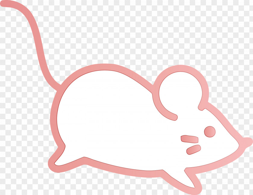 Rat Mouse Muridae Pest Tail PNG