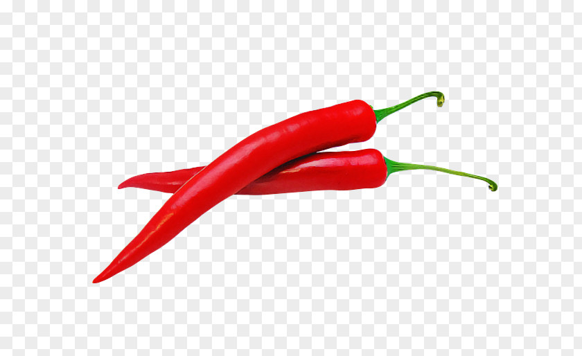 Red Vegetable Chili Pepper Tabasco Serrano Malagueta Bird's Eye PNG