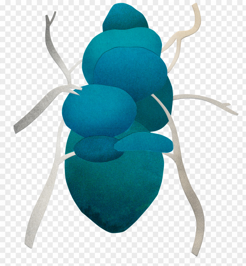 Turquoise Organism PNG