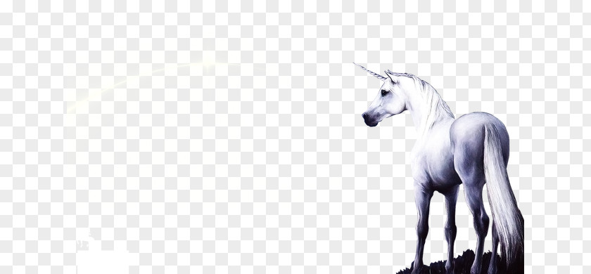 Unicorn Horse Pixel PNG