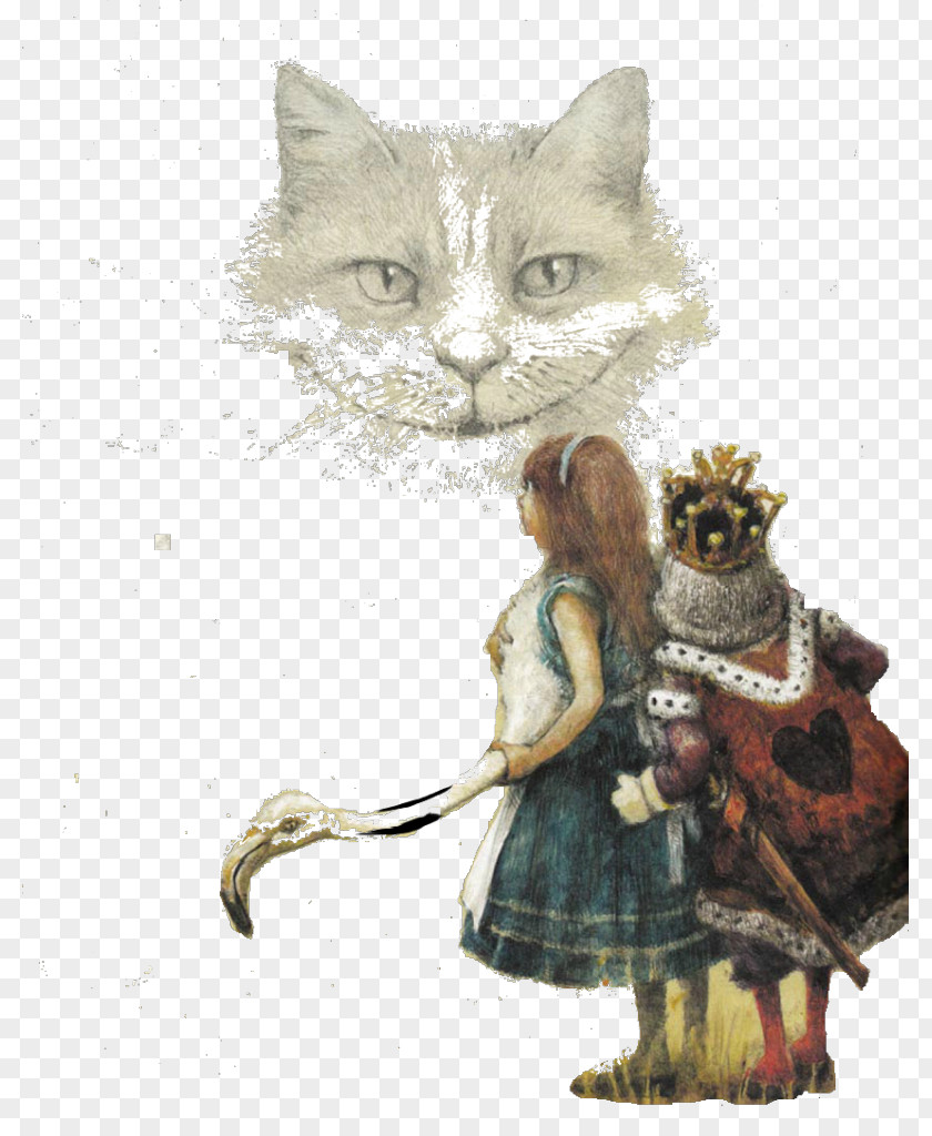 Alice In Wonderland Alice's Adventures Cheshire Cat Book PNG