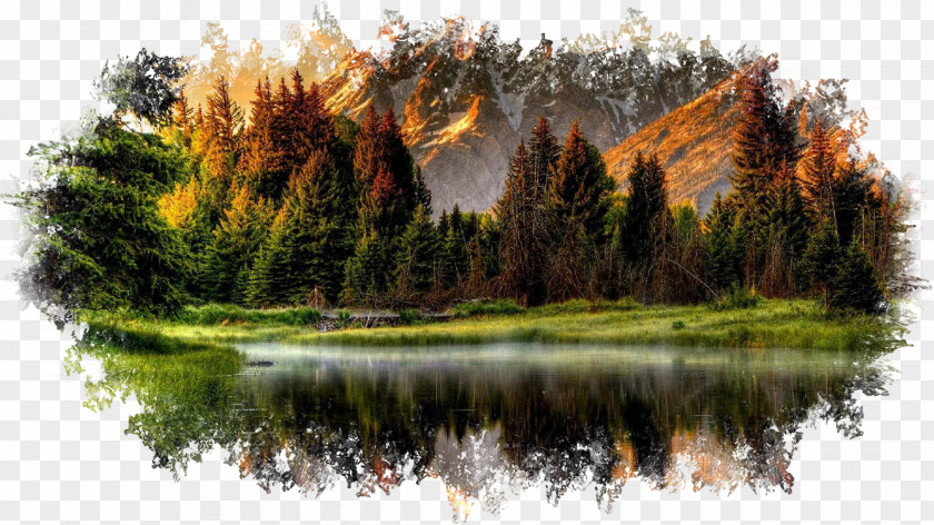 Forest Desktop Wallpaper Landscape River PNG