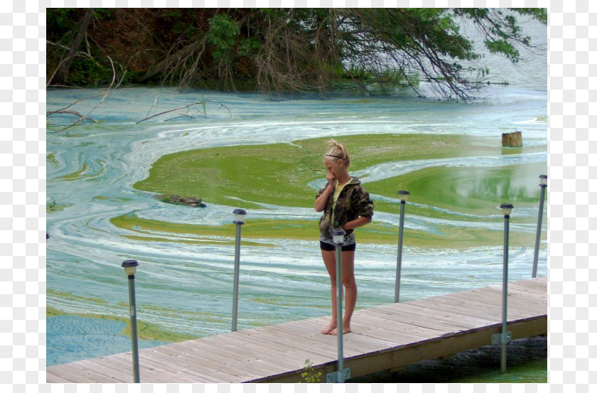 Lake Algal Bloom Grand St. Marys State Park Water Resources PNG