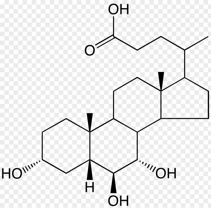 Pregnan Chenodeoxycholic Acid Muricholic Ursodiol PNG