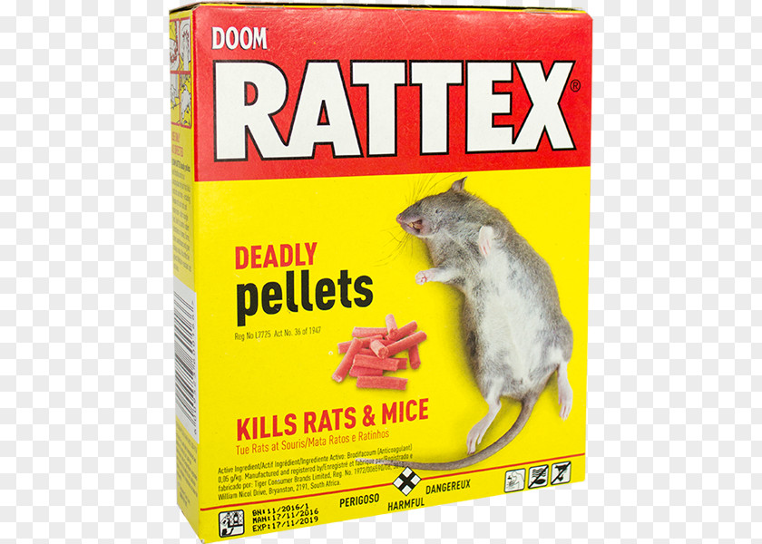 Rat Insecticide Control Of Rats And Mice Rodenticide Grovida PNG