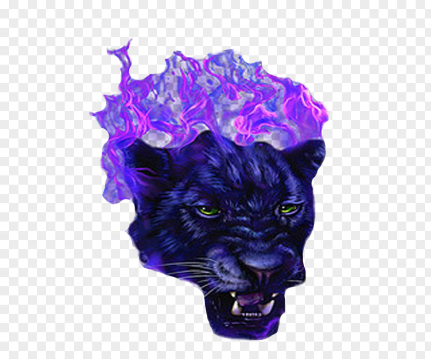 The Blue Purple Tiger Black Panther Violet PNG