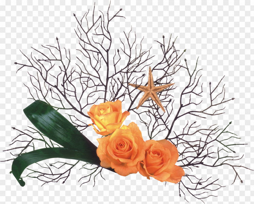 Yellow Rose Flower Bouquet Cut Flowers Petal Garden Roses PNG