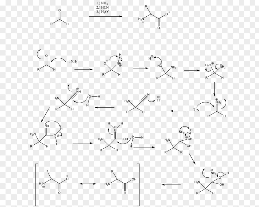 Angle Drawing White Point Strecker Amino Acid Synthesis PNG