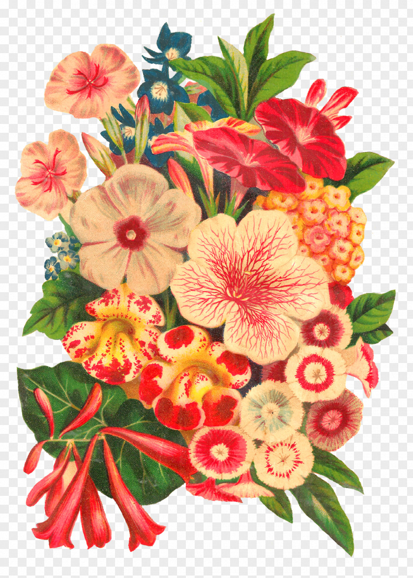 Botanical Flowers Flower Bouquet Floral Design Cut Illustration PNG