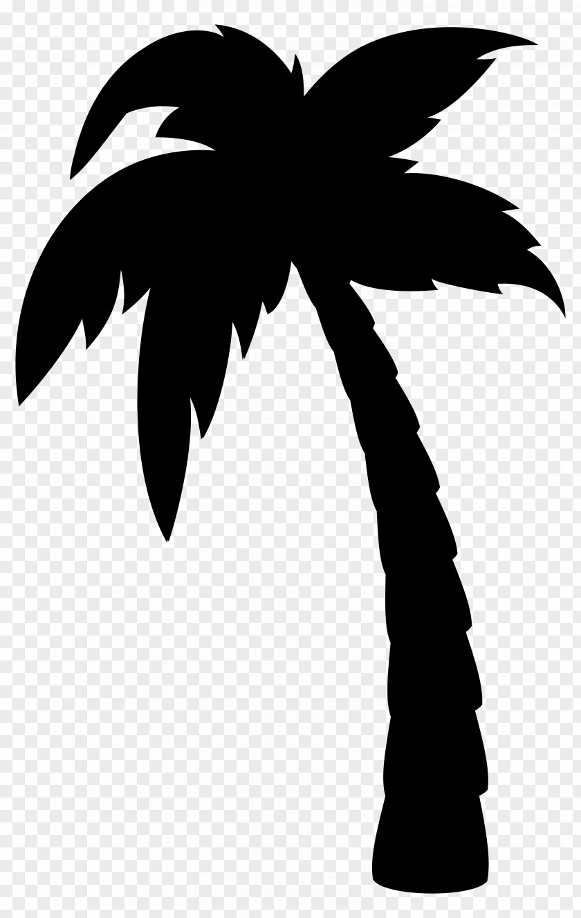 Clip Art Under Palm Trees PNG