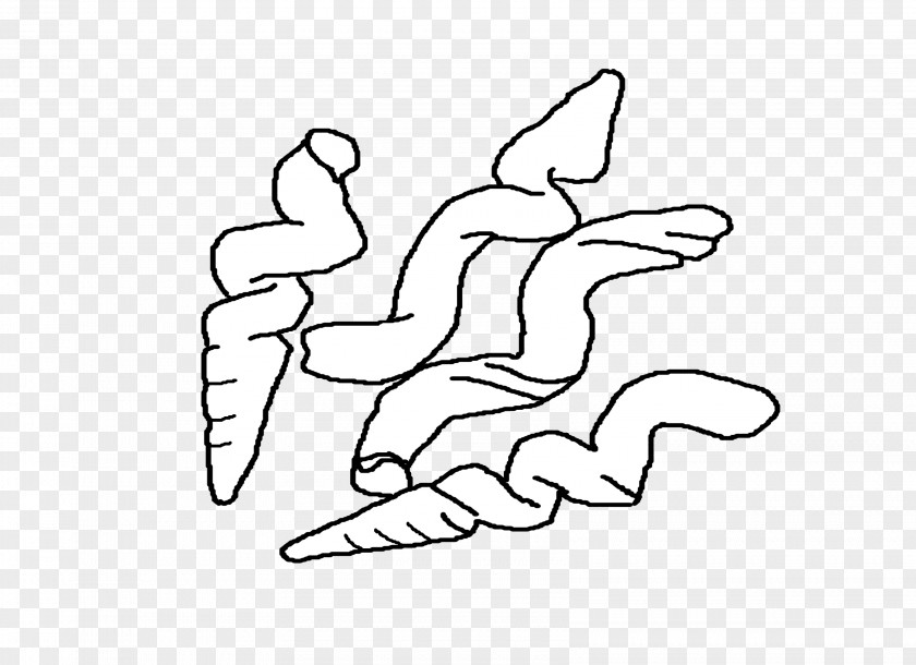 Conch Seashell Line Art Worm Drawing Clip PNG