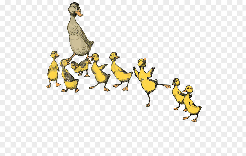 Duck Make Way For Ducklings Boston Performing Arts Dance PNG