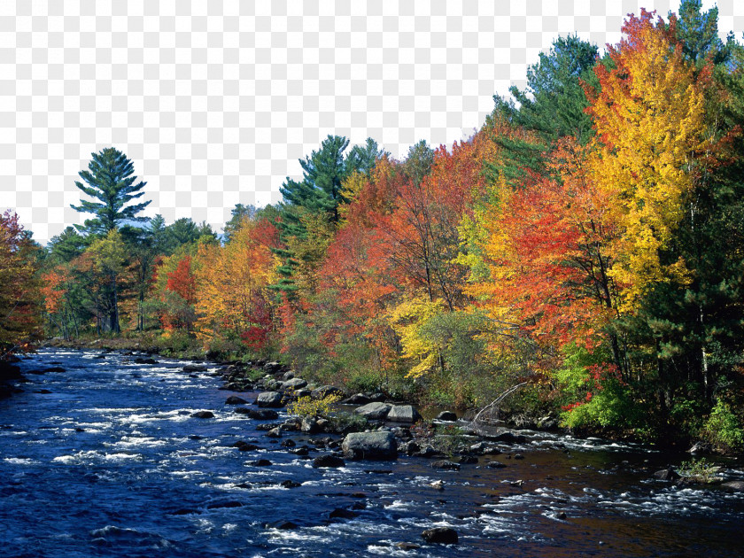 England Charming Scenery Fourteen New Hampshire Autumn In Aspen Wallpaper PNG
