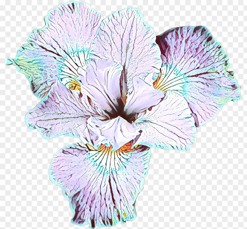 Herbaceous Plant Iris Flower Petal Pink Cut Flowers PNG