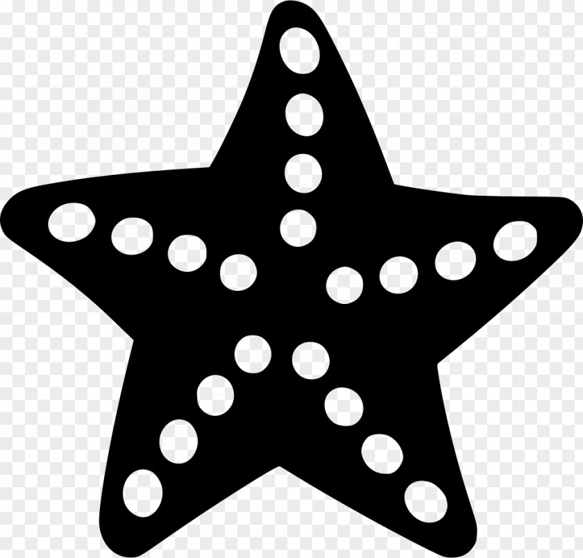 Sea Star Starfish Clip Art PNG