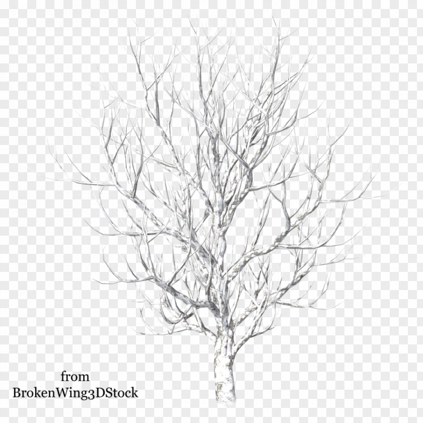 Twigs Winter Tree Drawing Snow PNG
