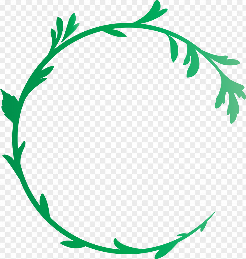 Decoration Frame Floral Flower PNG