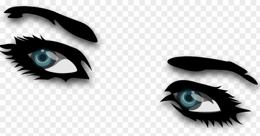 Eye Clip Art Eyebrow Vector Graphics PNG