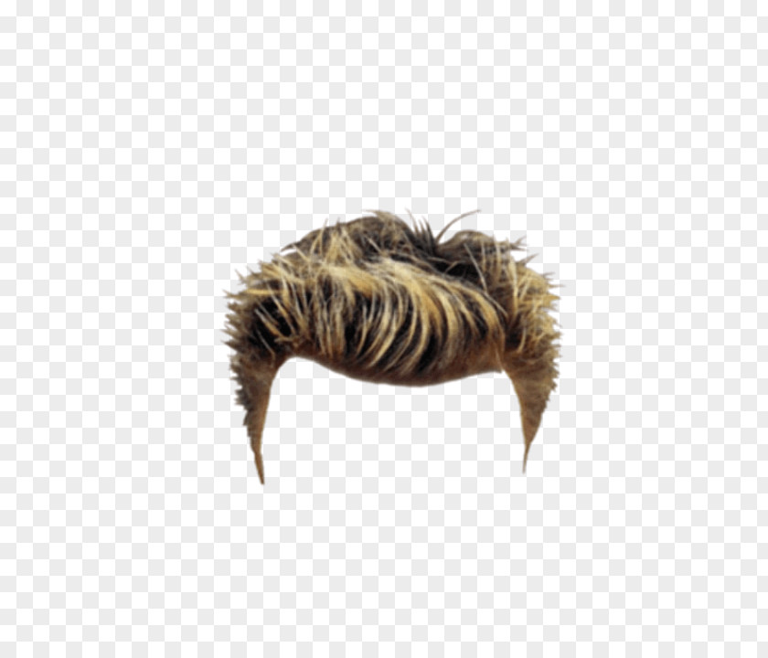 Hair Suit Image Editing PNG