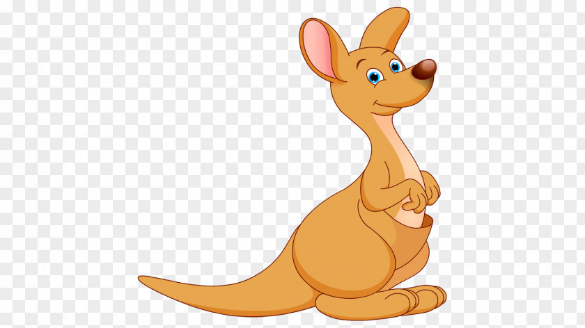 Kangaroo Animation Animated Cartoon Clip Art PNG