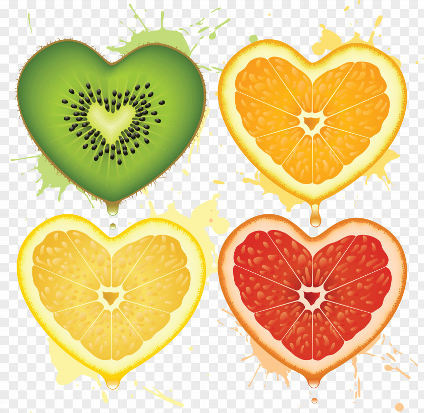 Orange Fruit Grapefruit Clip Art PNG
