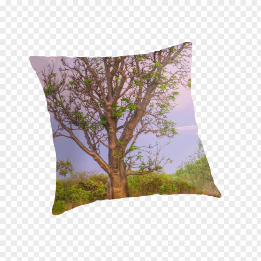 Pillow Throw Pillows Cushion PNG