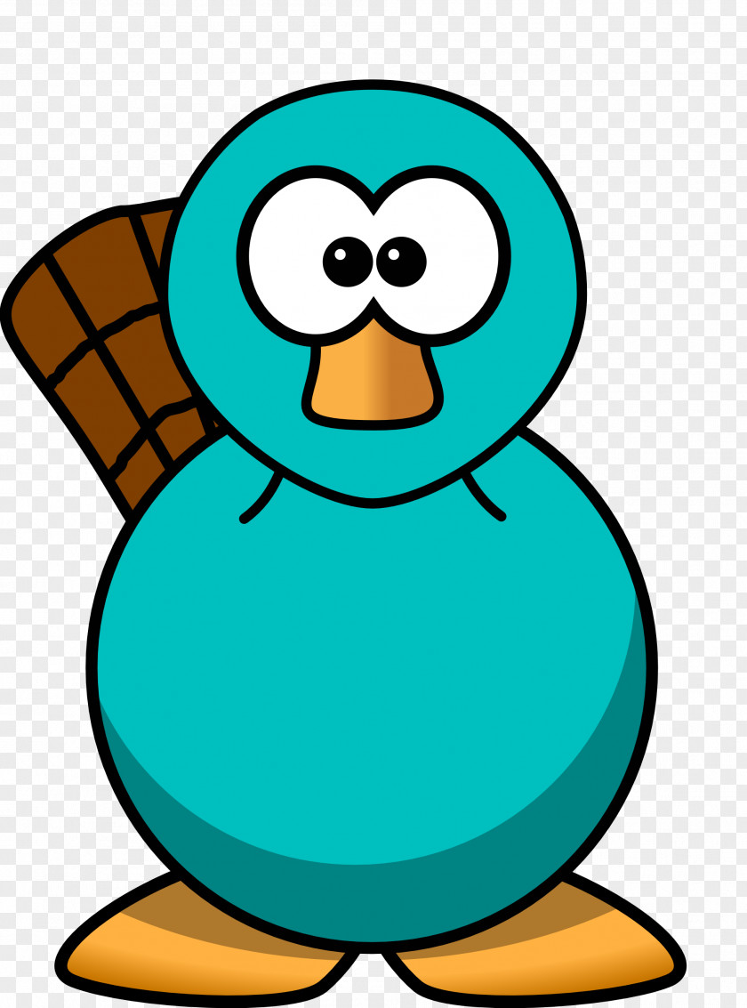 Platypus Face Cliparts Perry The Cartoon Clip Art PNG