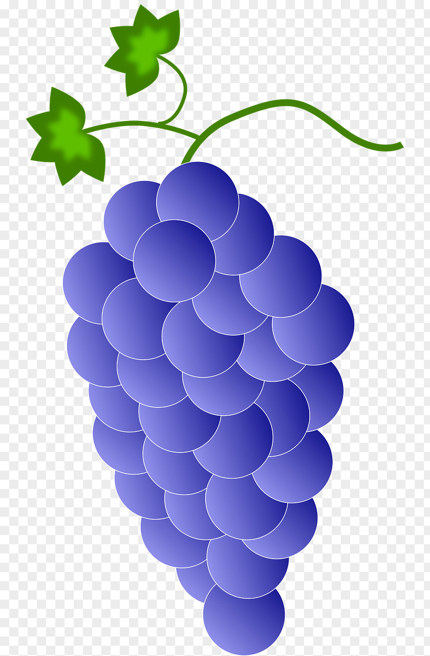 Purple Grape Cluster Red Wine Common Vine Clip Art PNG