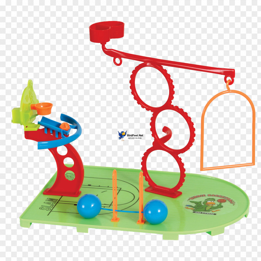 Toy Playground Pet Cockatiel Child PNG