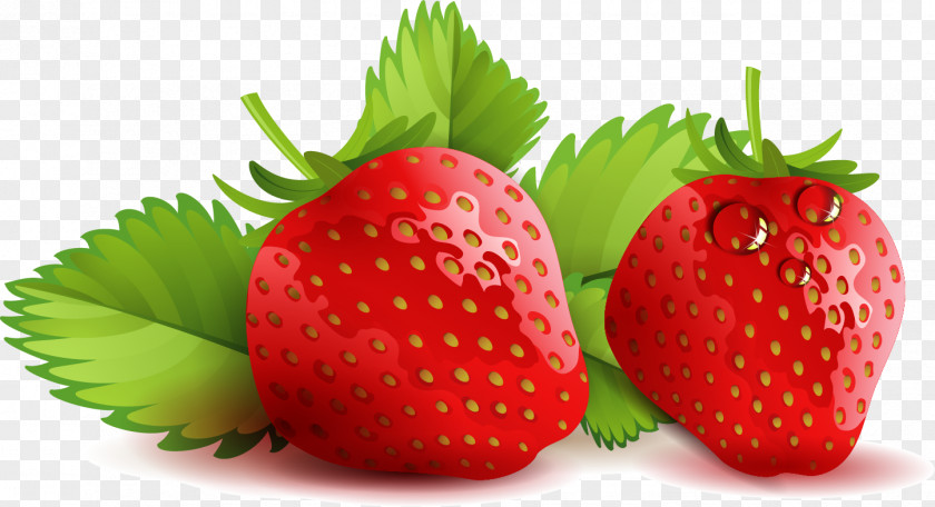 Vector Painted Strawberry Pie Shortcake PNG
