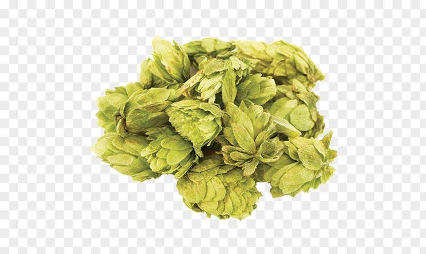 Beer Amarillo Hops Cascade Ale Lager PNG