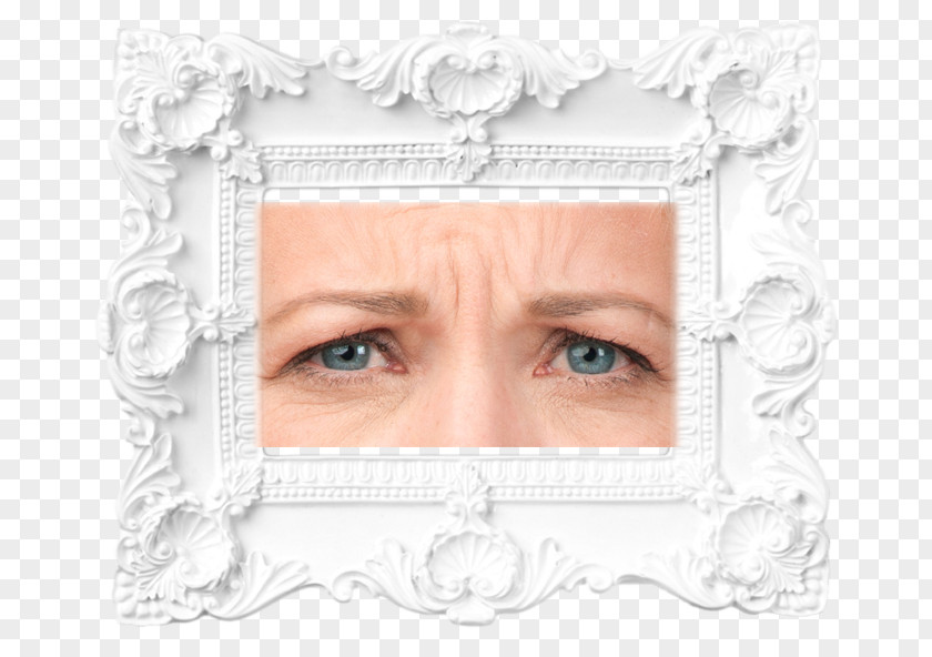 Botox Picture Frames Ornate White Frame Image Borders And PNG