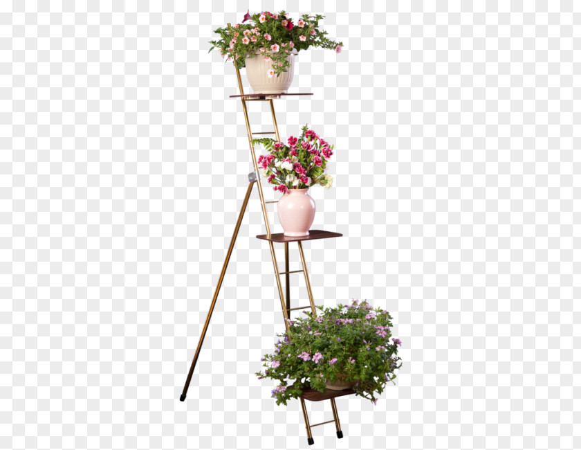 Flower Floral Design Flowerpot Cut Flowers Shelf PNG