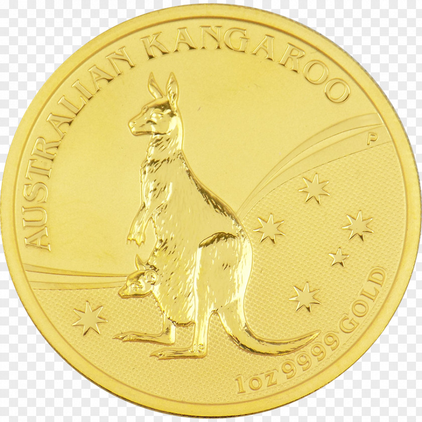 Gold Coins Coin Money Metal Currency PNG