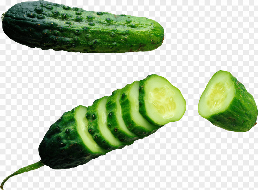 Green Cucumber Image Clip Art PNG