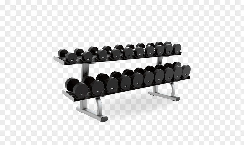 Gym Dumbbell Weight Training Life Fitness Exercise Equipment Strength PNG