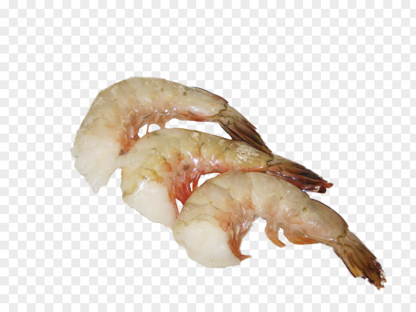 Lobster Caridea Shrimp Seafood Fettuccine Alfredo PNG