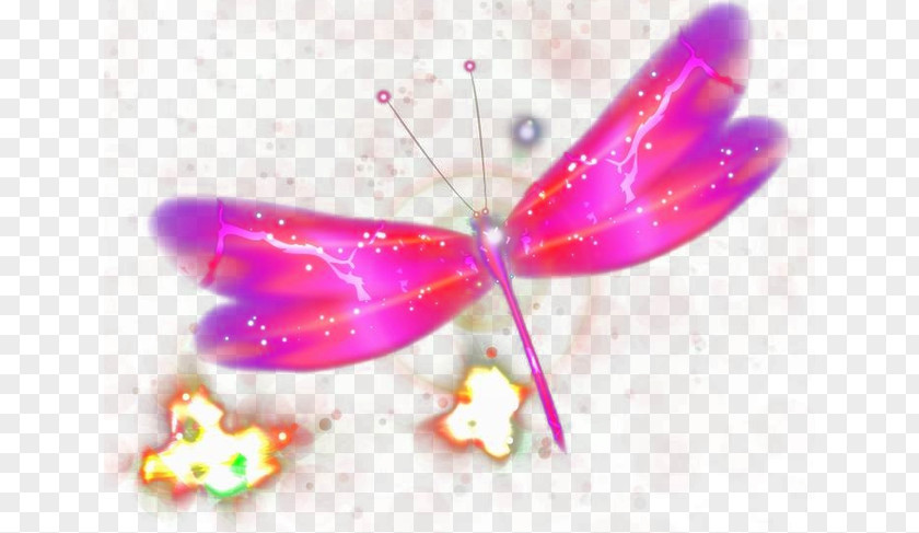 Magic Butterfly Petal Pink PNG