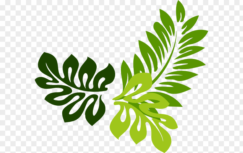 Olive Wreath Clip Art PNG
