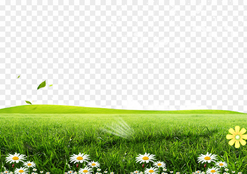 Posters Flowers Grass Background Green Lawn Poster Wallpaper PNG