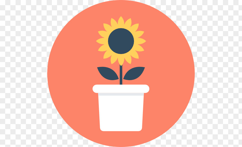 Sun Flower Vector Clip Art PNG