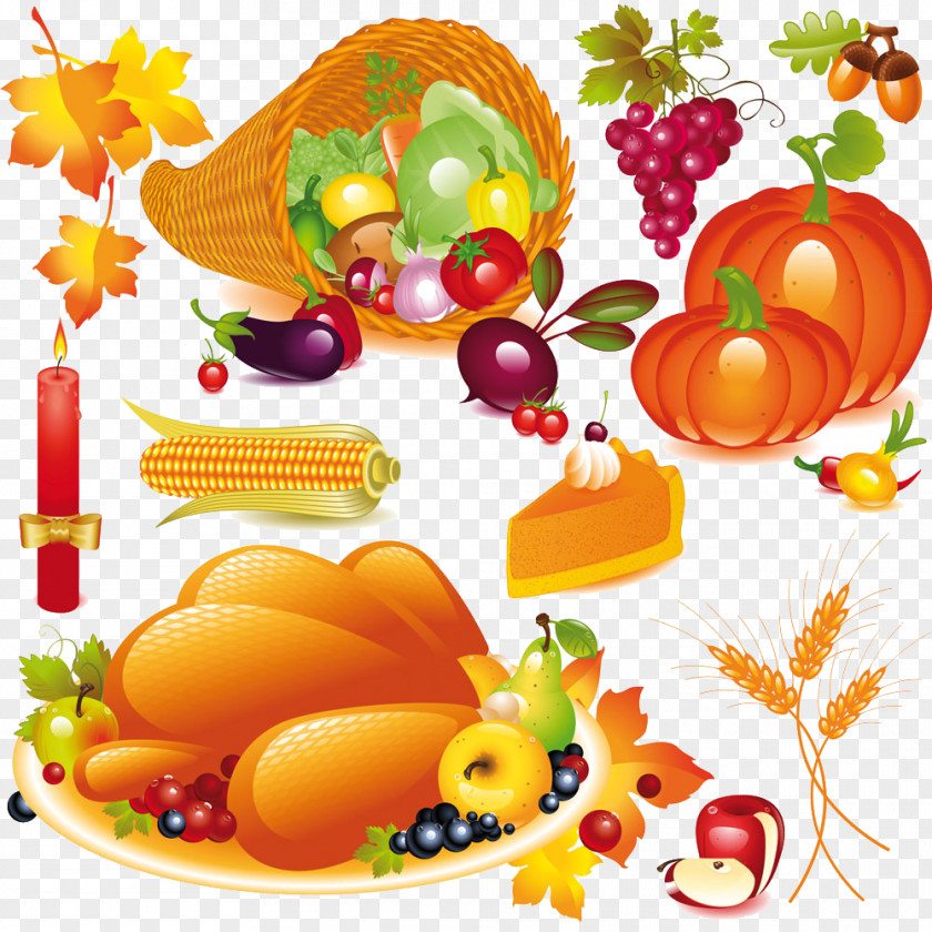 Vector Fruits And Vegetables Pumpkin Pie Thanksgiving Cornucopia Clip Art PNG