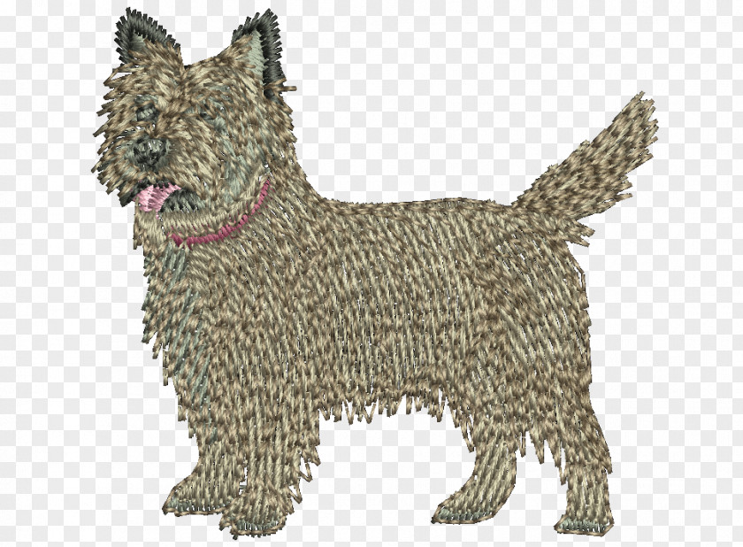 Cairn Terrier Scottish Pumi Dog Spanish Water Rare Breed (dog) PNG