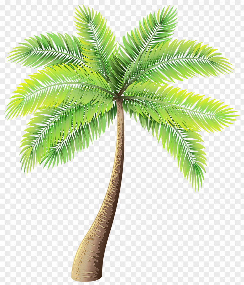 Clip Art Palm Trees Image Vector Graphics PNG