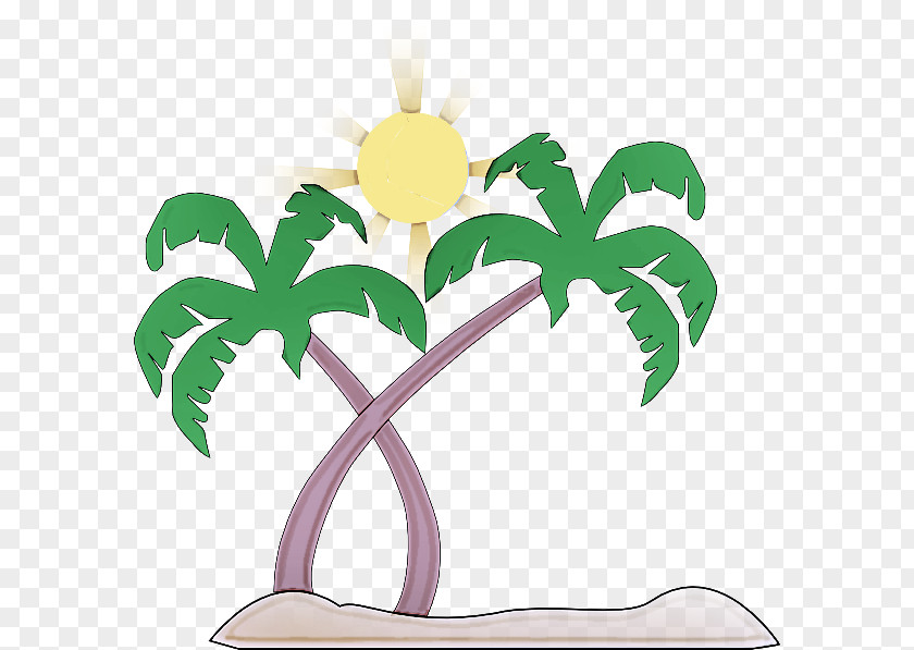 Houseplant Flower Palm Tree PNG