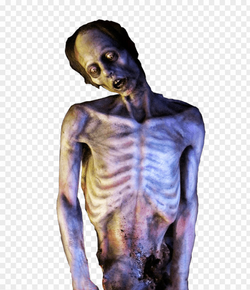 Skeleton Shoulder Laloween Horror Halloween Film Series PNG
